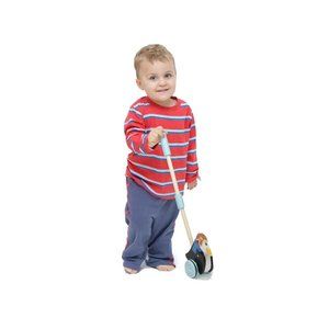 Radical Racers "Madcap Penguin" Wood Push-Along Toy by Imagination Generation